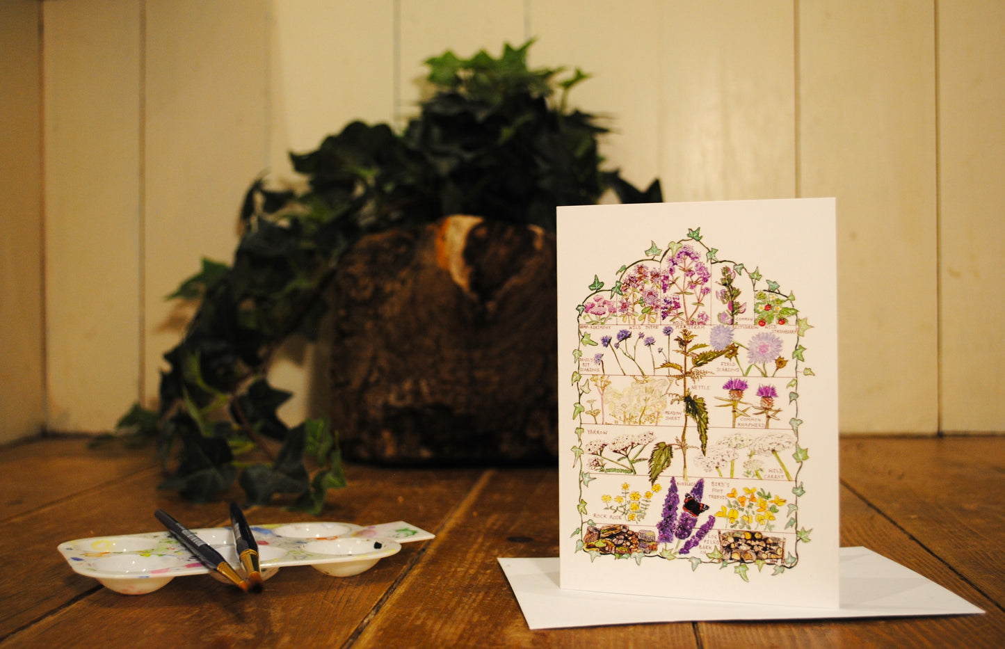 'PlanBee' multipack A6 cards 6 for £10 - 3 x British bees and 3 x Butterfly Conservation Target Plants.