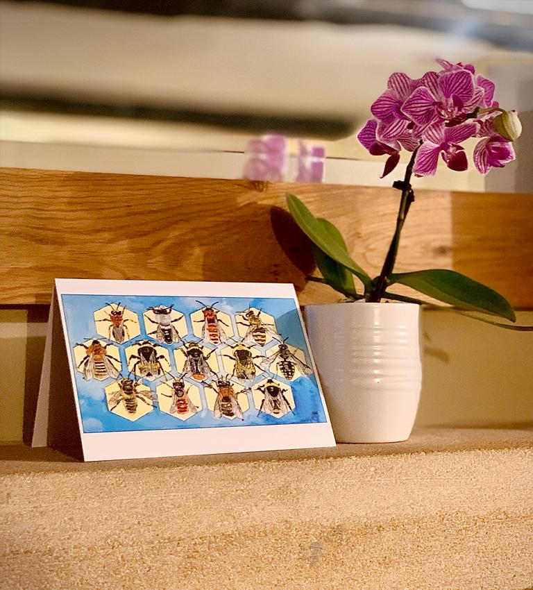 British solitary, bumble and honey bee A6 single greeting card