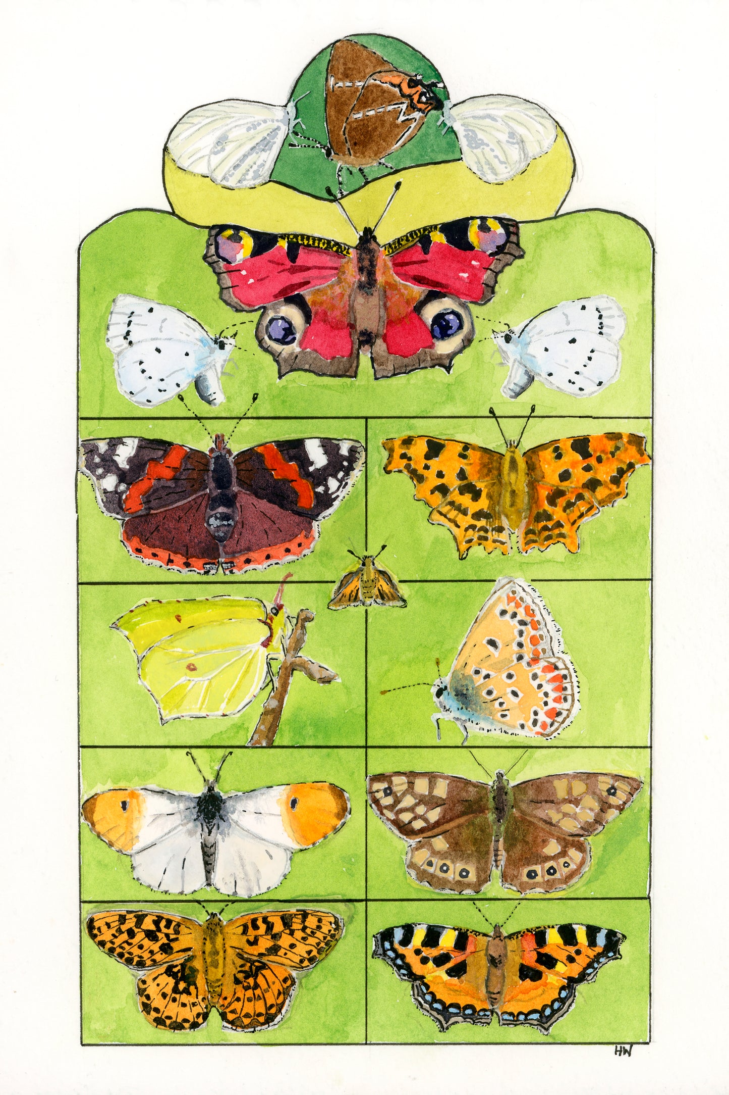 'Planfly' multipack A6 cards 6 for £10 - 3 x British butterflies and 3 x Butterfly Conservation Target Plants