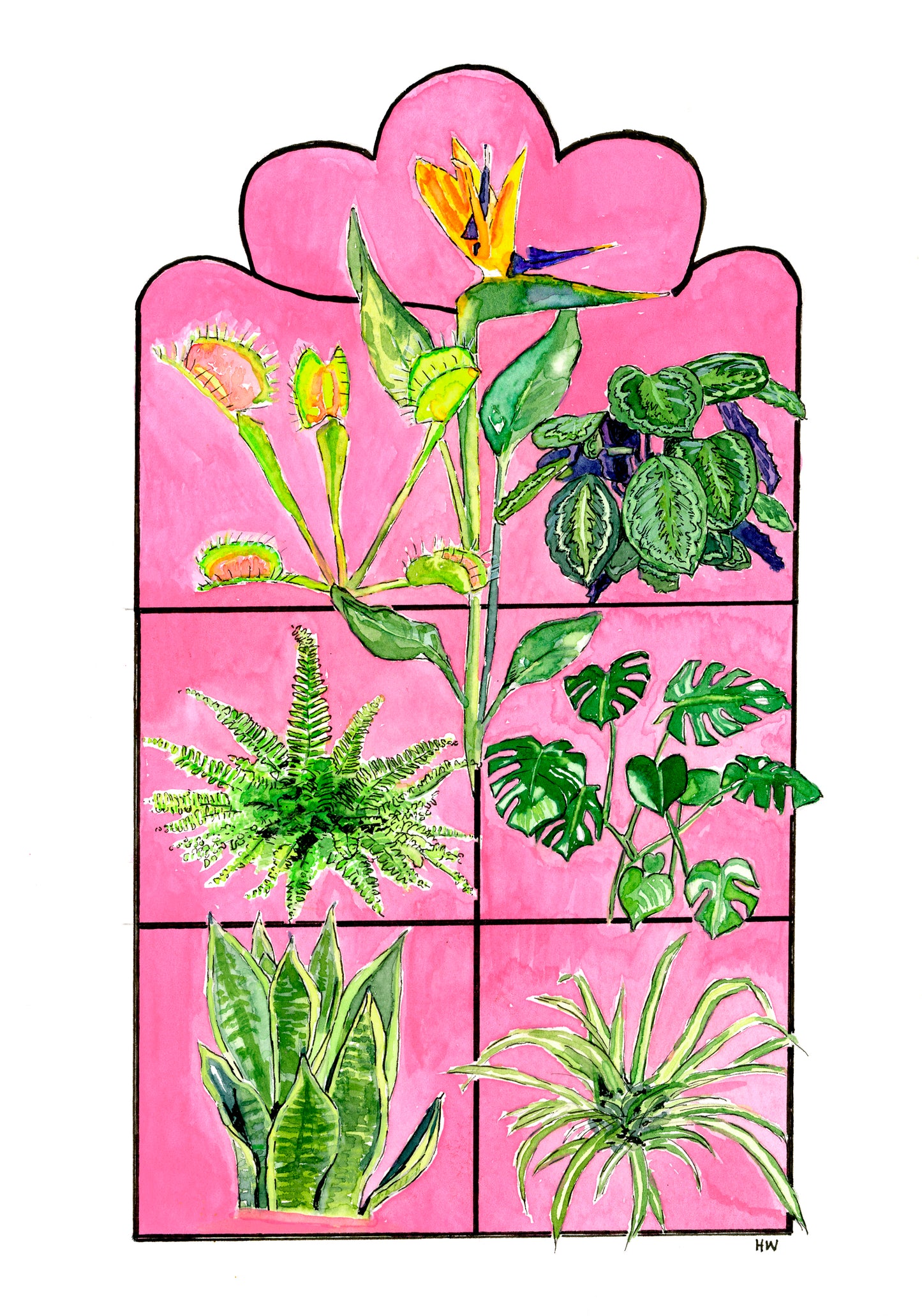 Limited addition featuring Indoor Plant design A6 single card