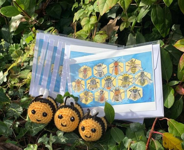 British Bee A6 card multipack: 6 for £10