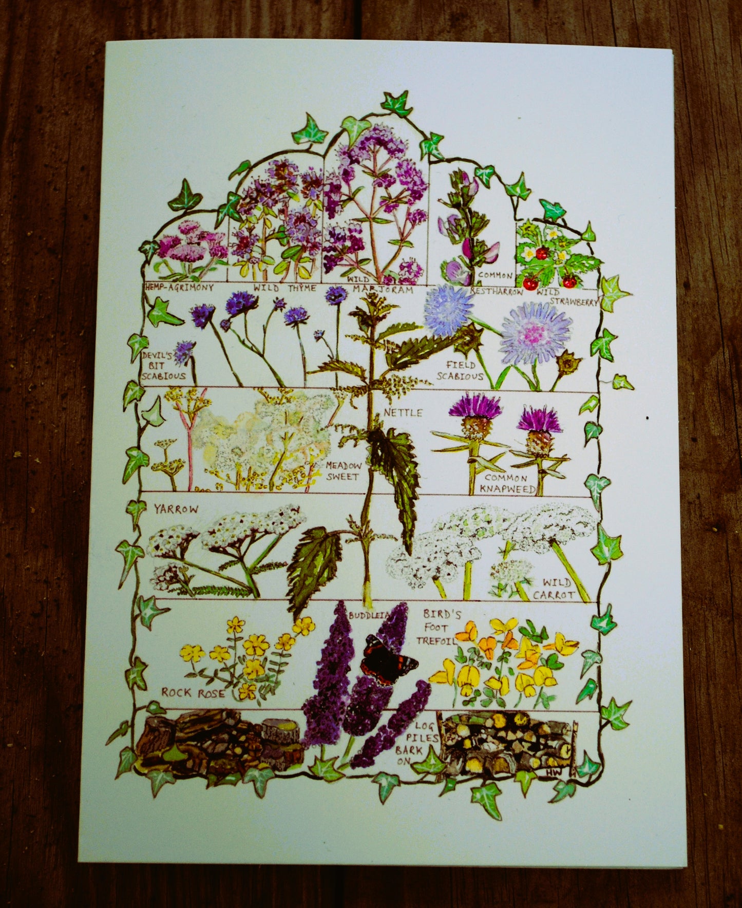'PlanBee' multipack A6 cards 6 for £10 - 3 x British bees and 3 x Butterfly Conservation Target Plants.