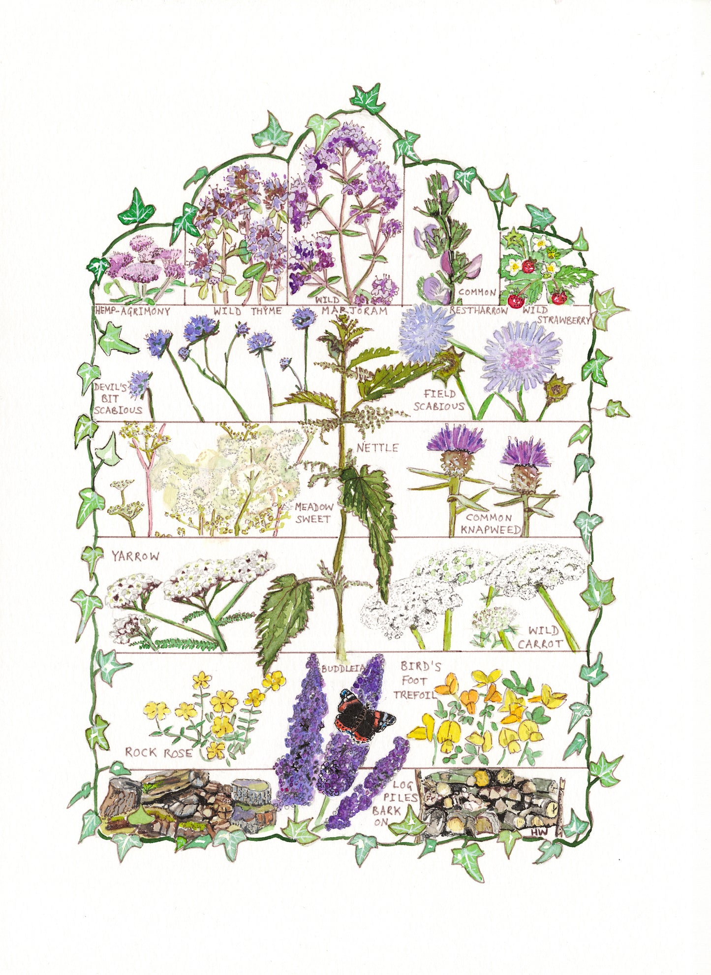 'Planfly' multipack A6 cards 6 for £10 - 3 x British butterflies and 3 x Butterfly Conservation Target Plants