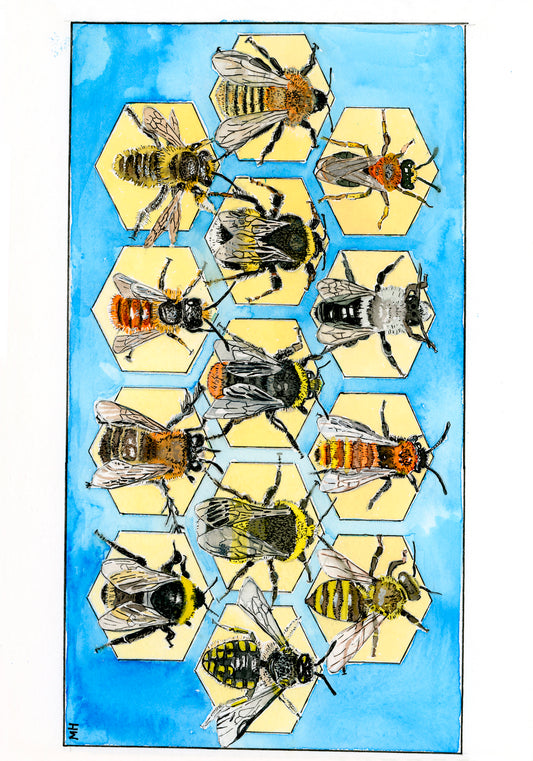 British solitary, bumble and honey bee A6 single greeting card