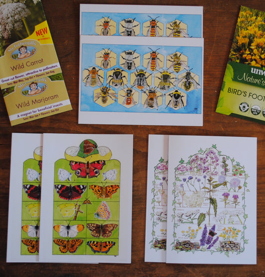 'Flybeeplan' multipack A6 cards 6 for £10 - 2 x British bees, 2 x British butterflies, 2 x Butterfly Conservation Target Plants.