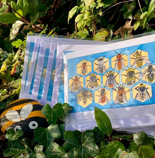 British Bee A6 card multipack: 6 for £10