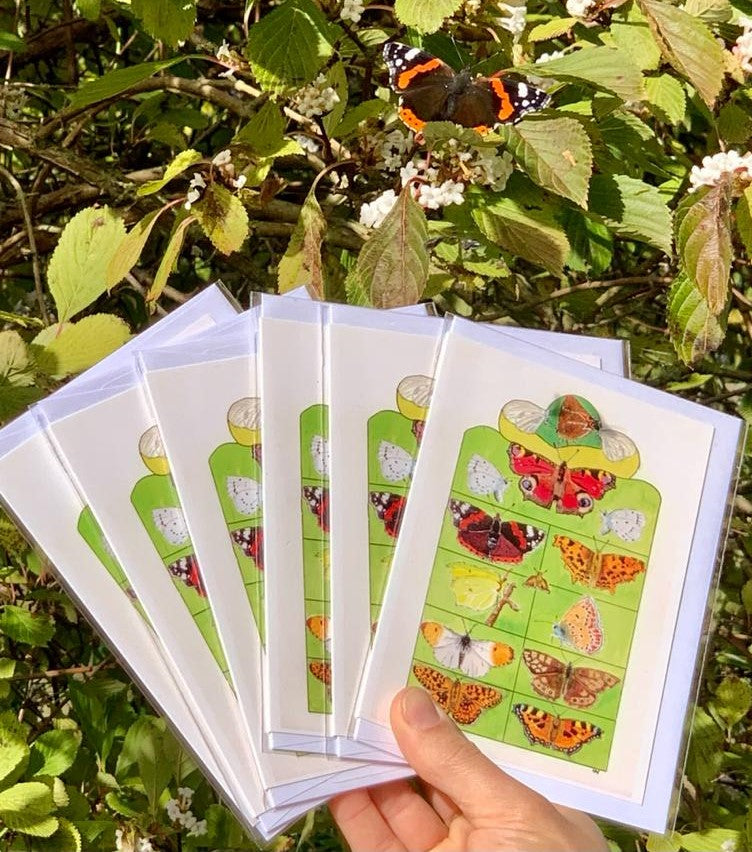 British Butterfly multipack A6 cards 6 for £10 - 6 x British butterflies