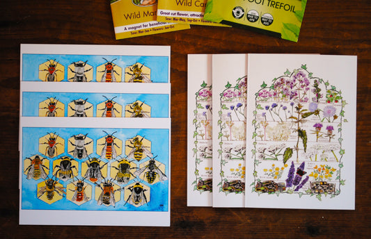 'PlanBee' multipack A6 cards 6 for £10 - 3 x British bees and 3 x Butterfly Conservation Target Plants.